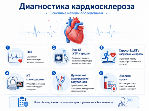 Кардиосклероз: что это за заболевание